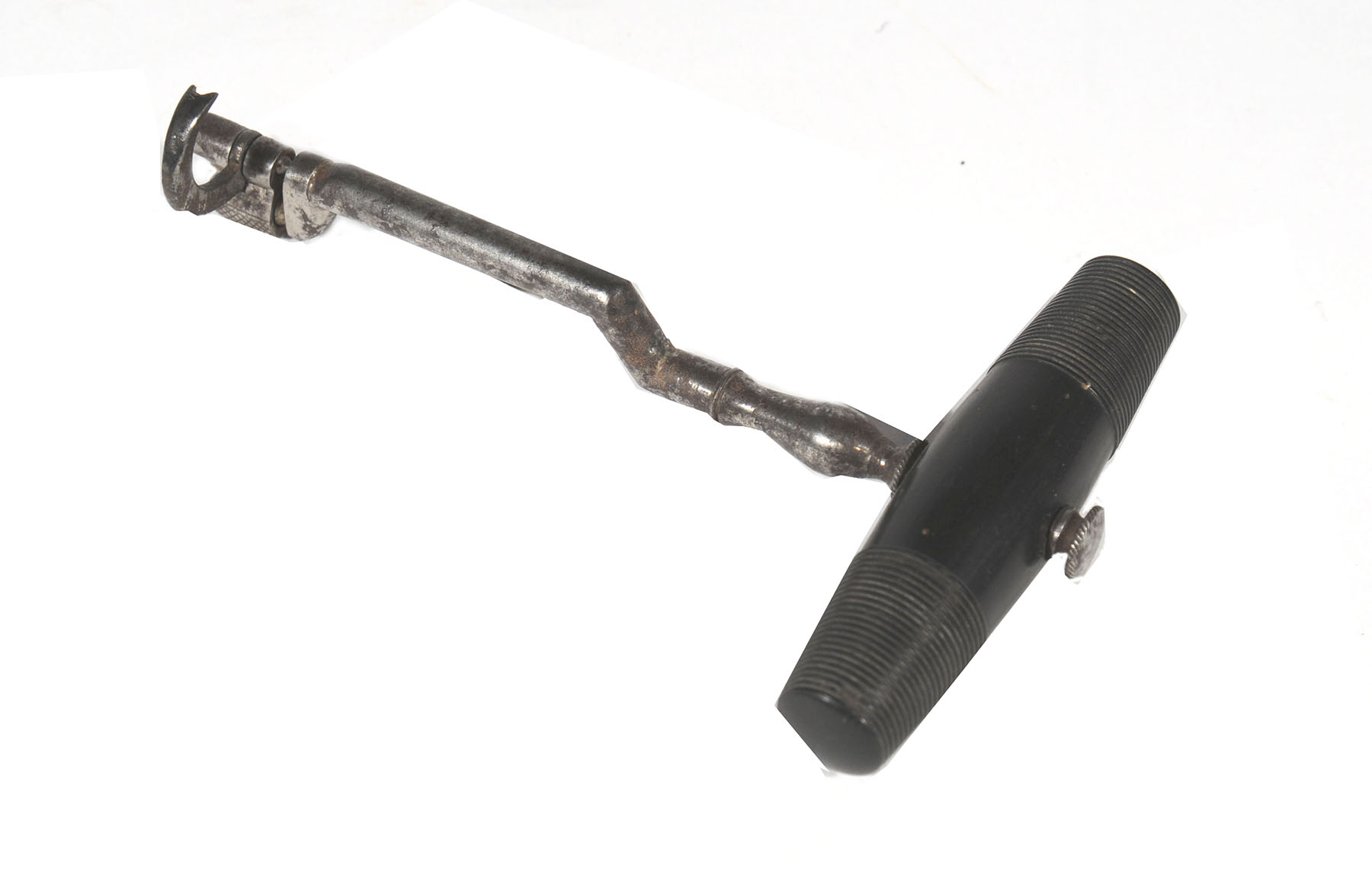 Magnified image for image #1