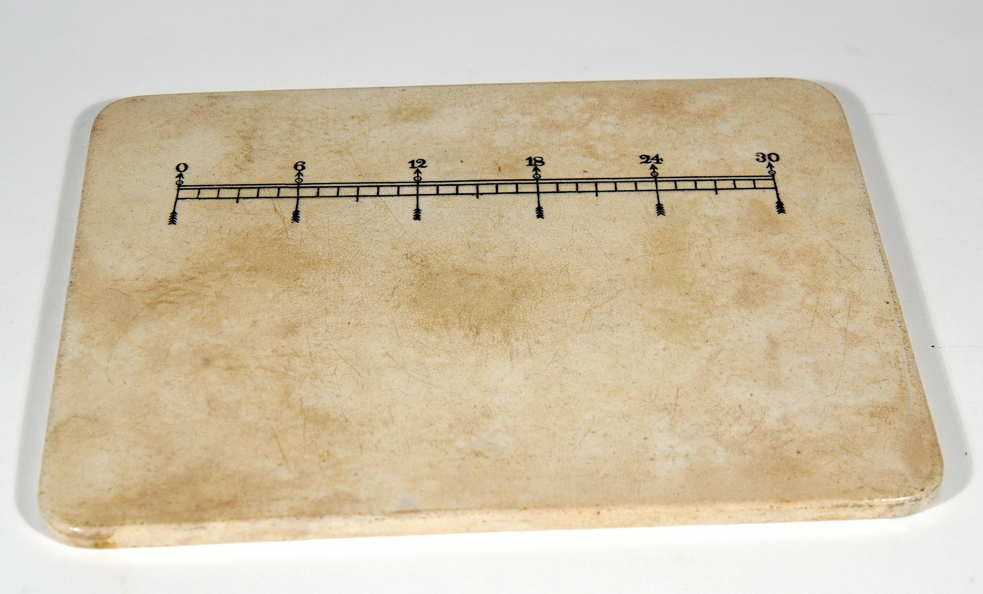 Magnified image for image #1