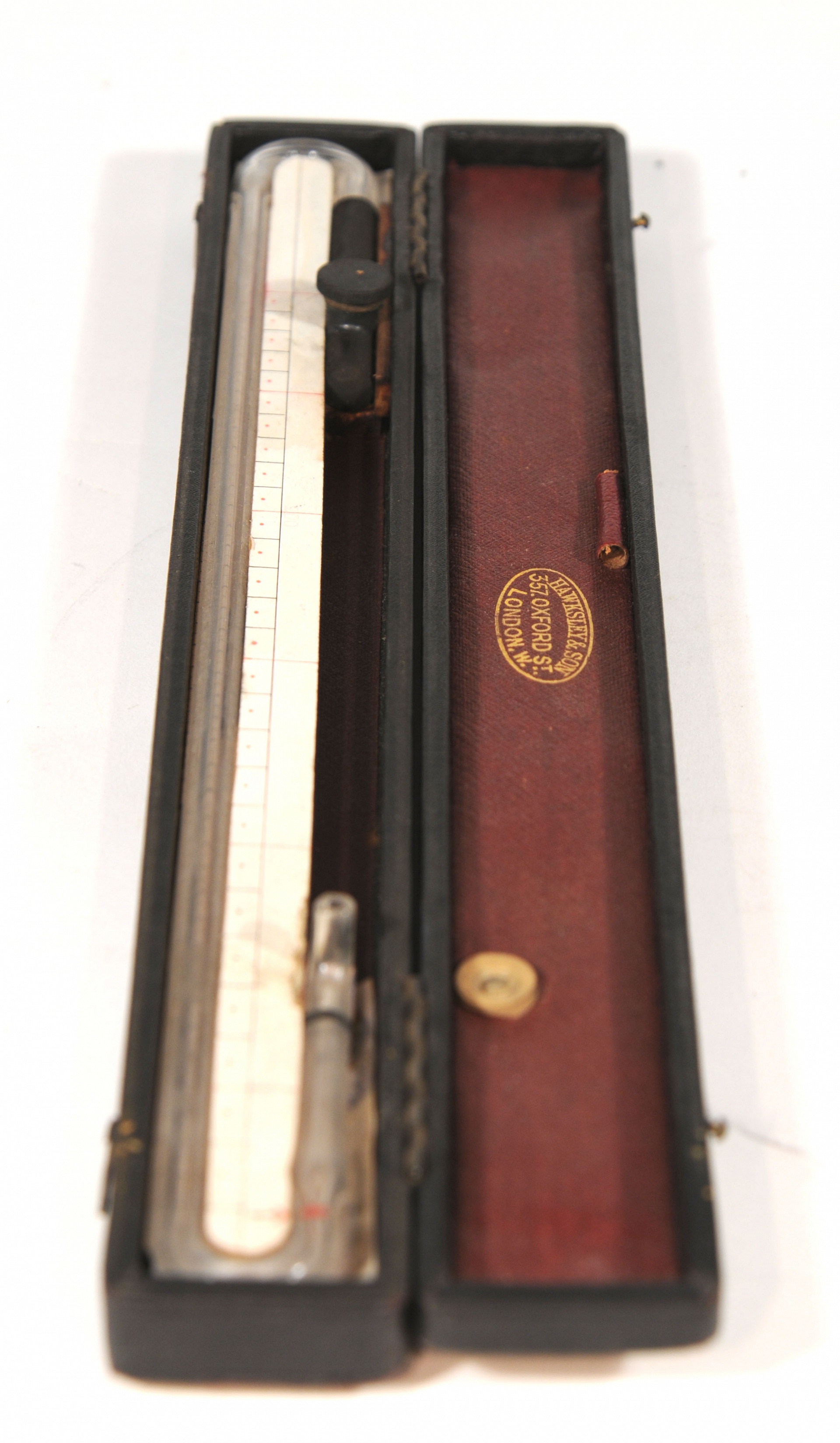 Magnified image for image #1