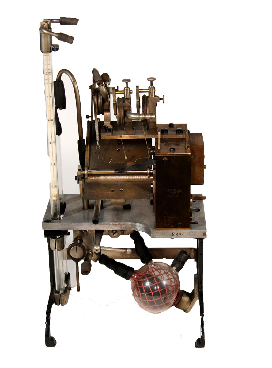 Magnified image for image #1