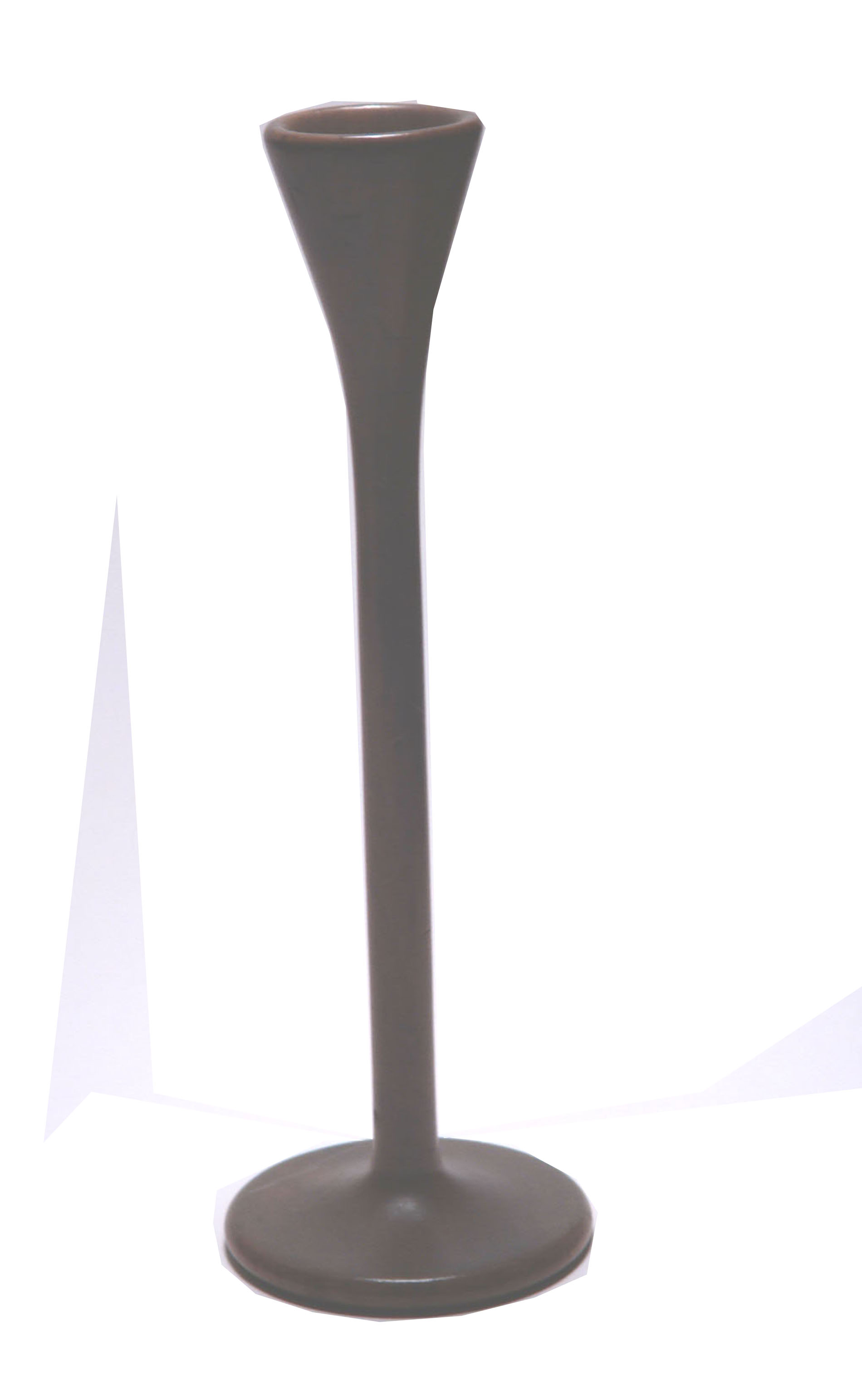 Magnified image for image #1