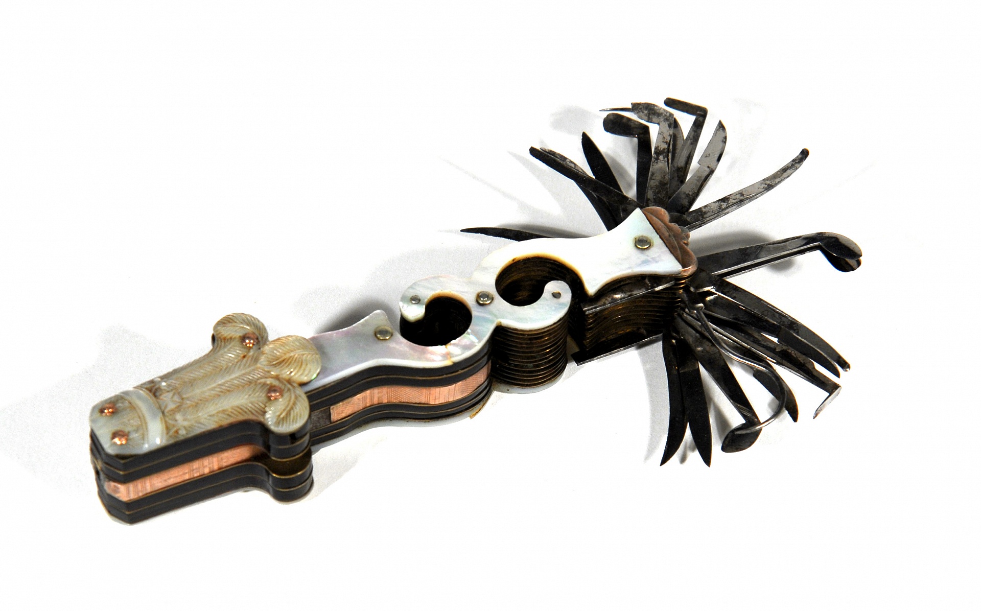 Magnified image for image #1