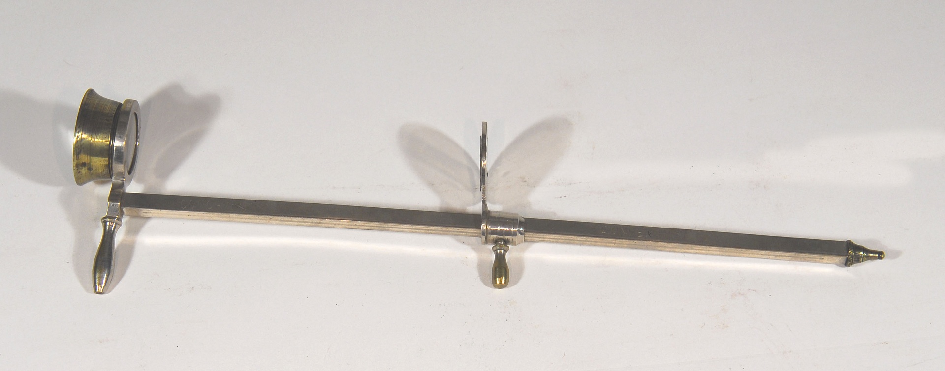 Magnified image for image #1