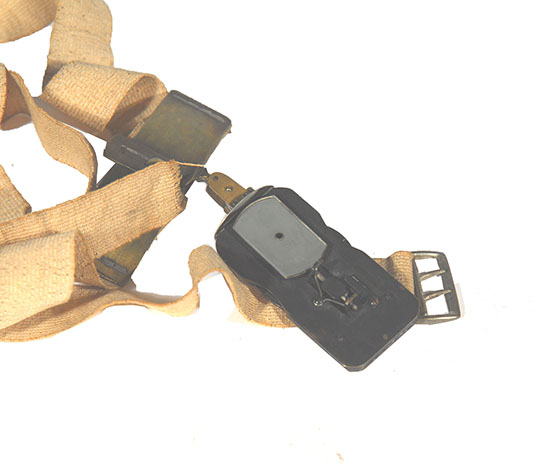 Magnified image for image #1