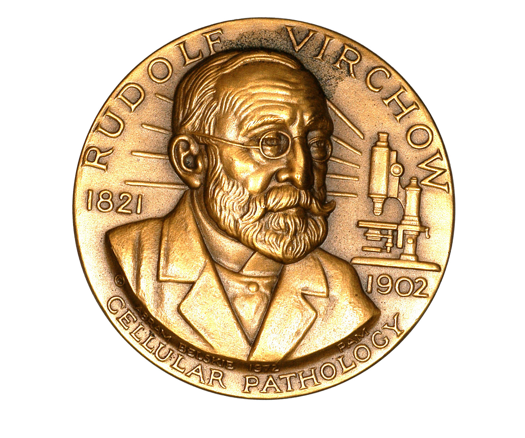 Magnified image for image #1