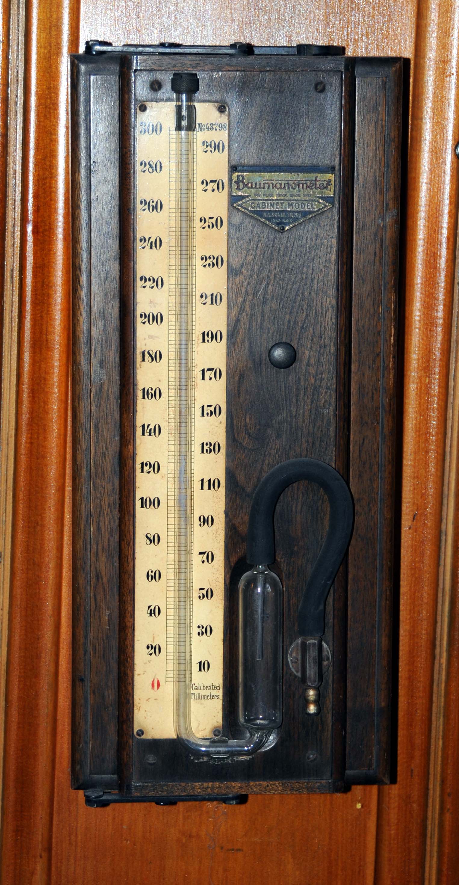 Magnified image for image #5