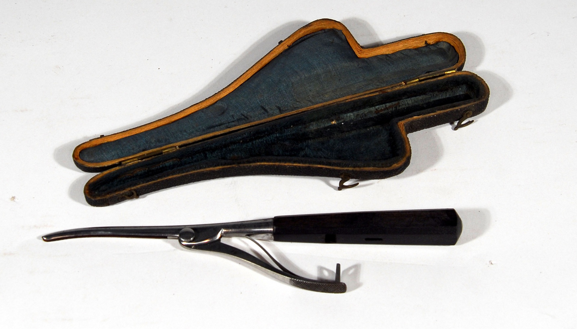 Magnified image for image #1