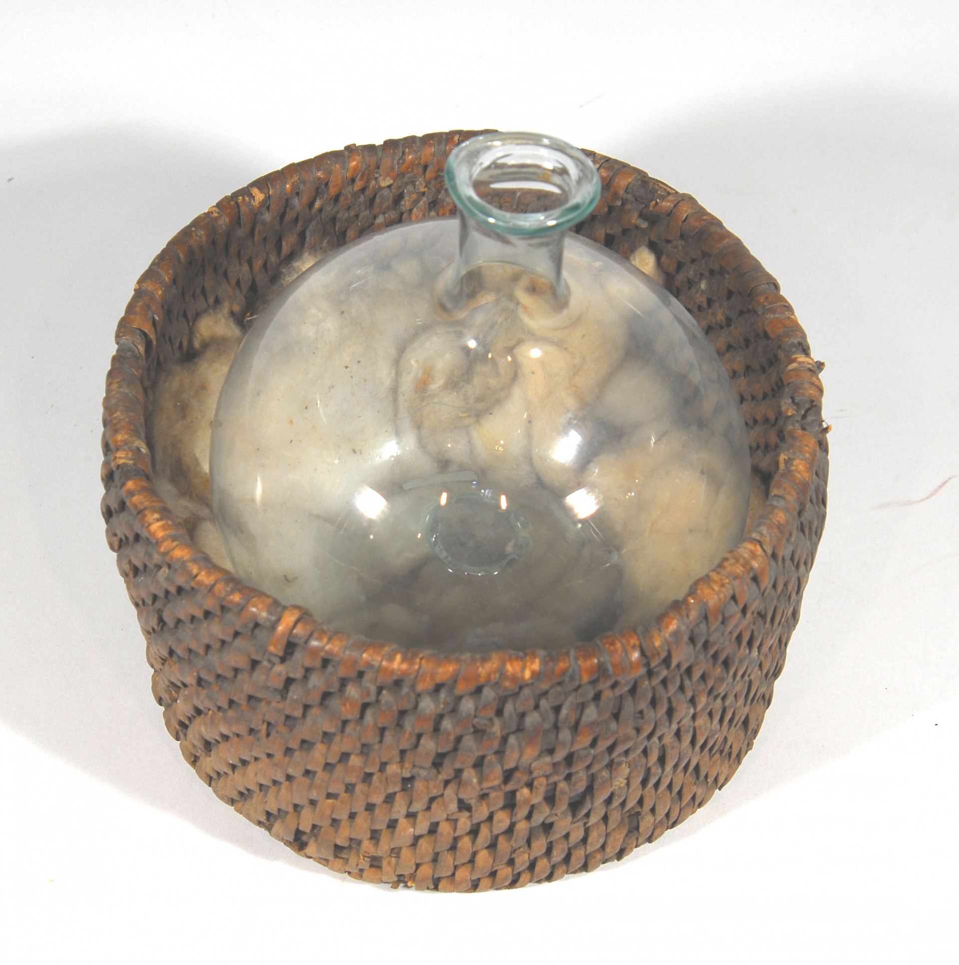 Magnified image for image #1