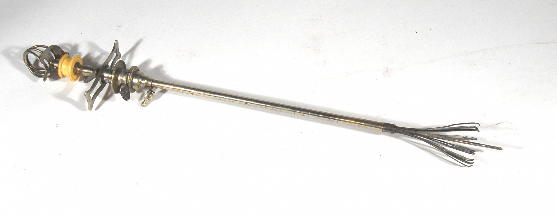 Magnified image for image #1