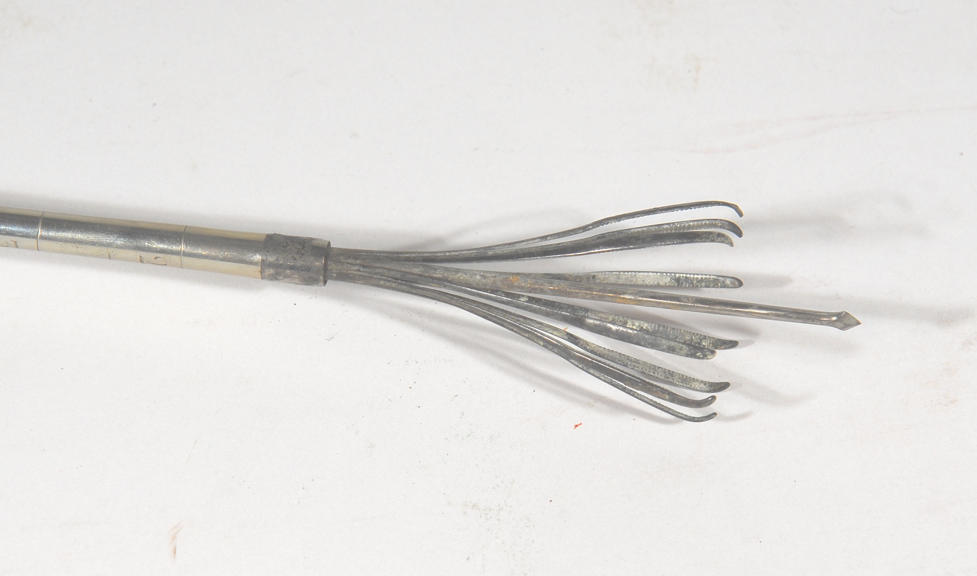 Magnified image for image #2