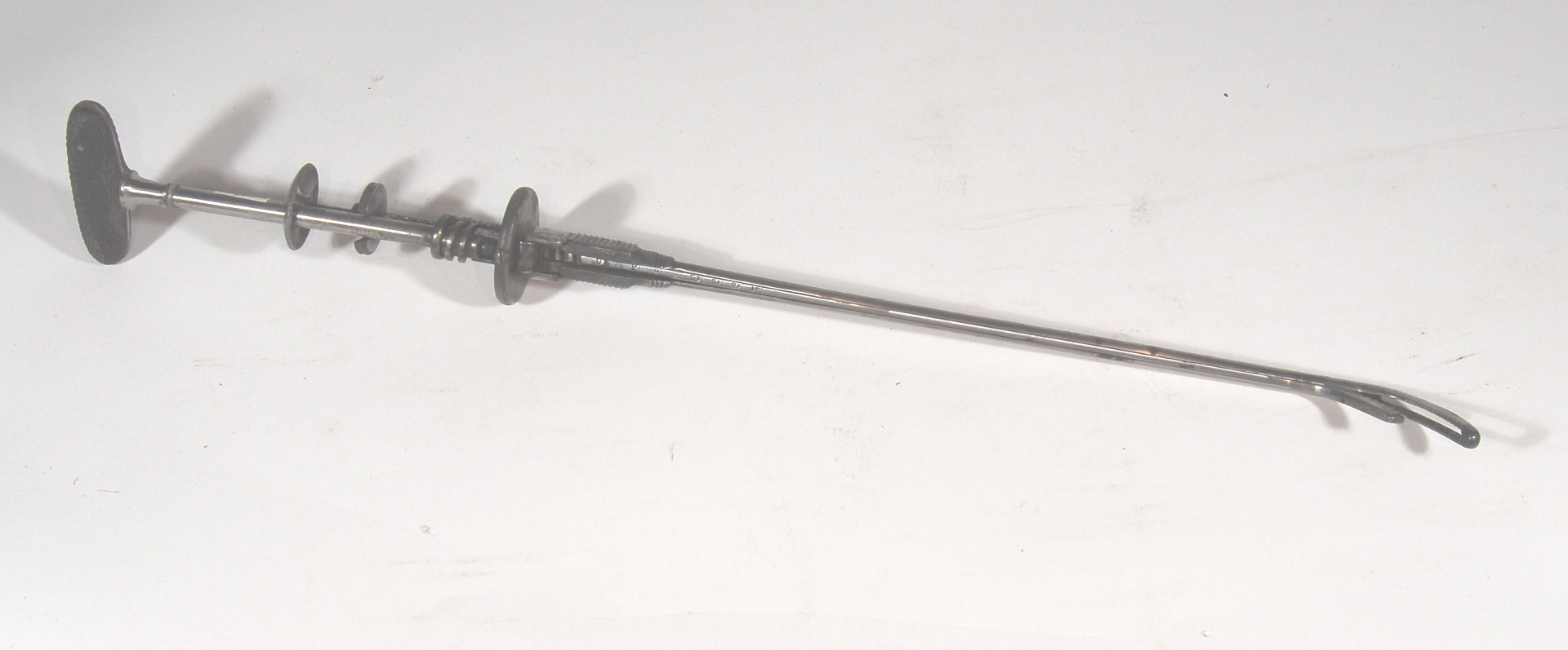 Magnified image for image #1