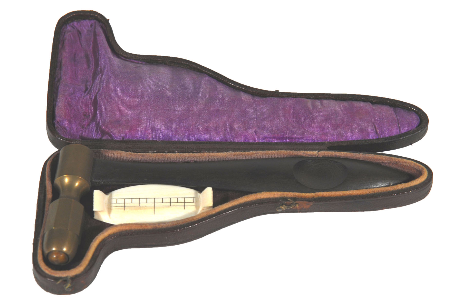 Magnified image for image #1