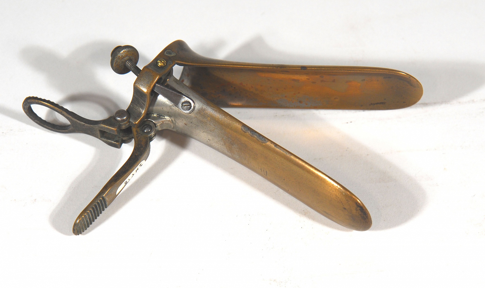 Magnified image for image #1