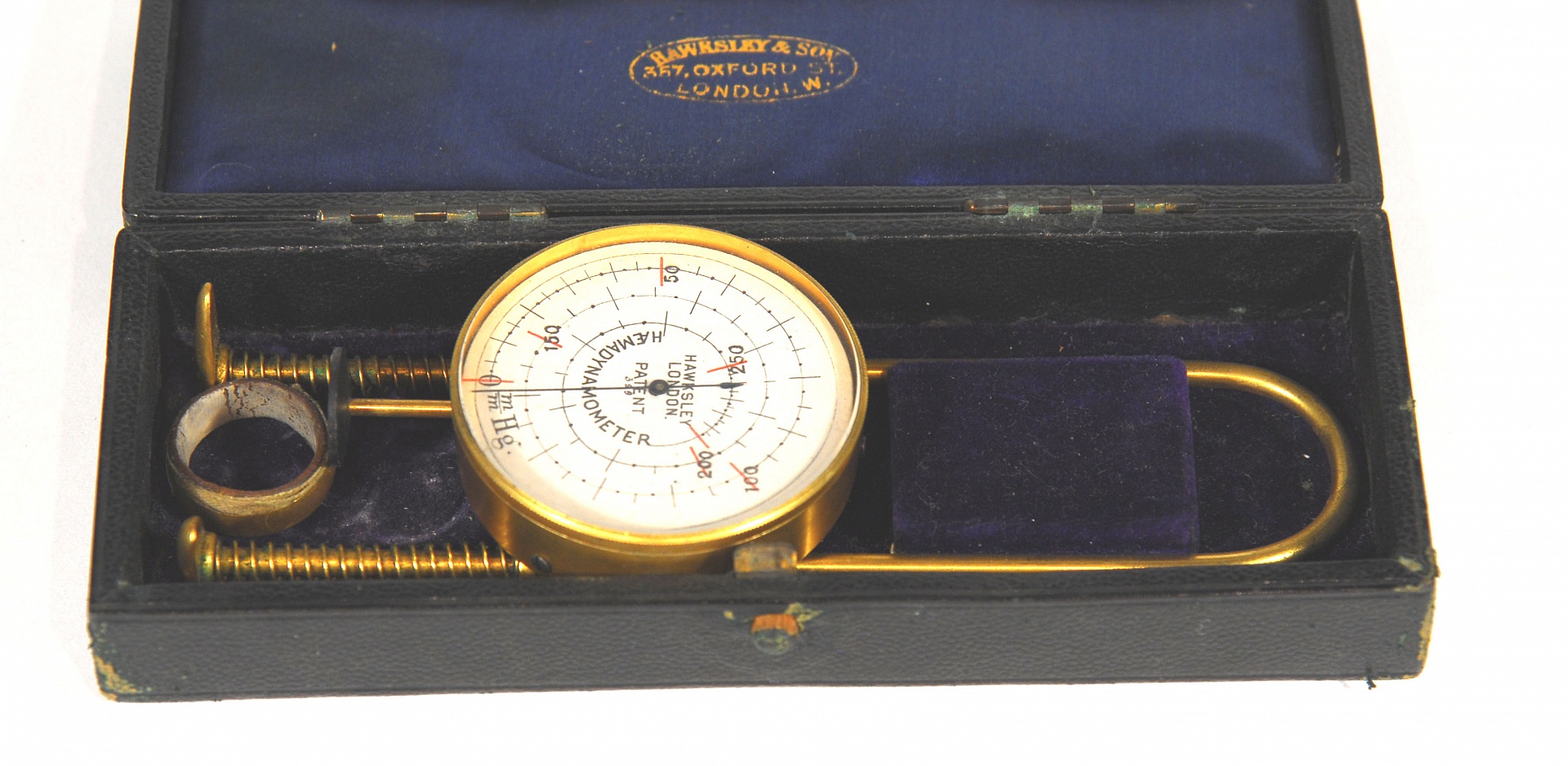 Magnified image for image #1