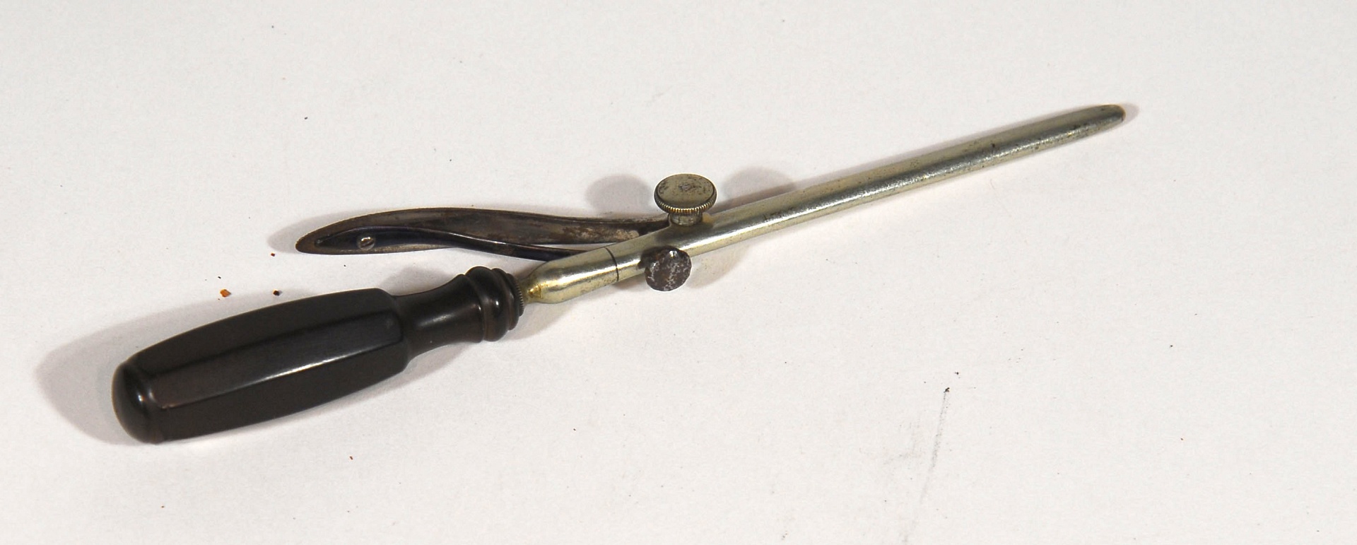 Magnified image for image #1