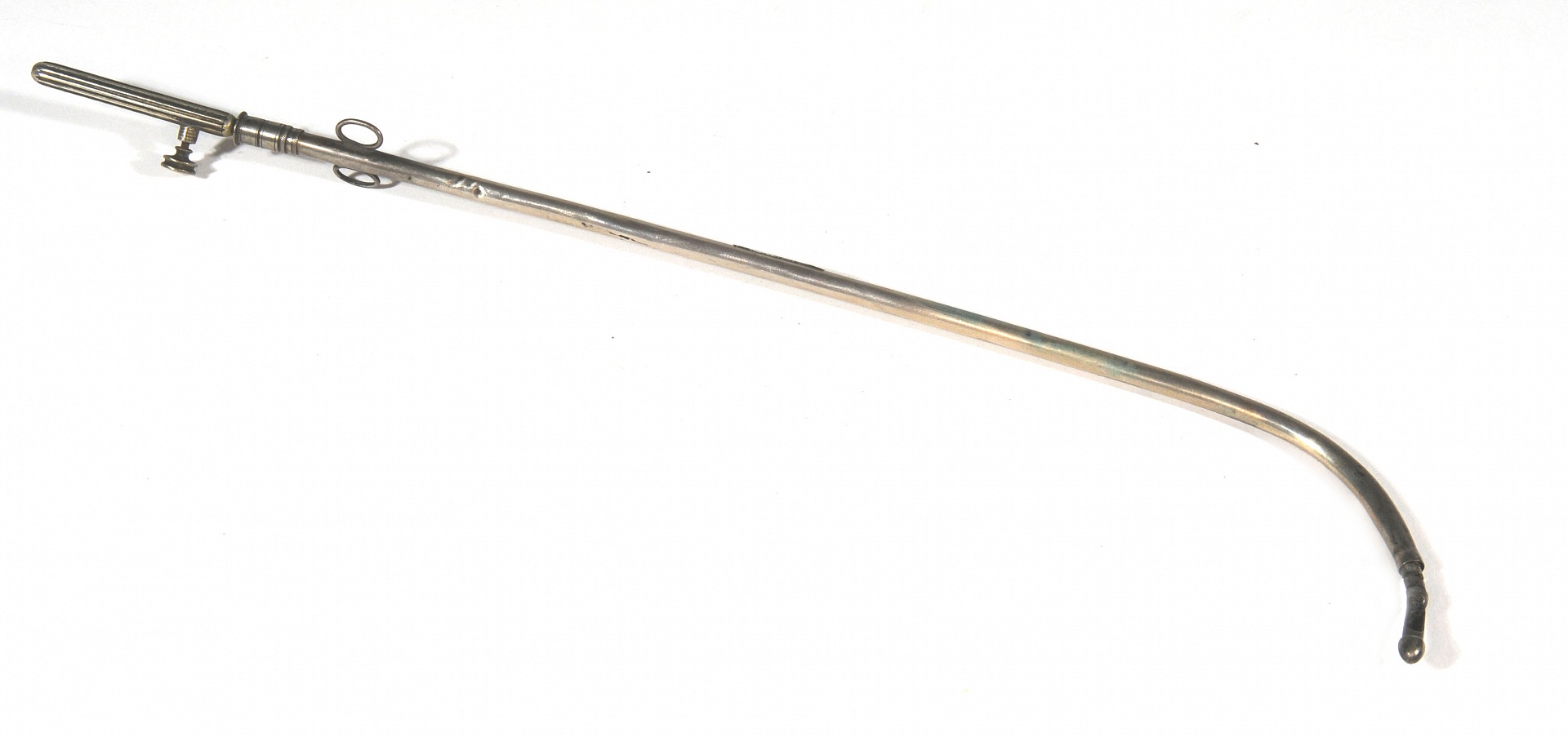 Magnified image for image #1