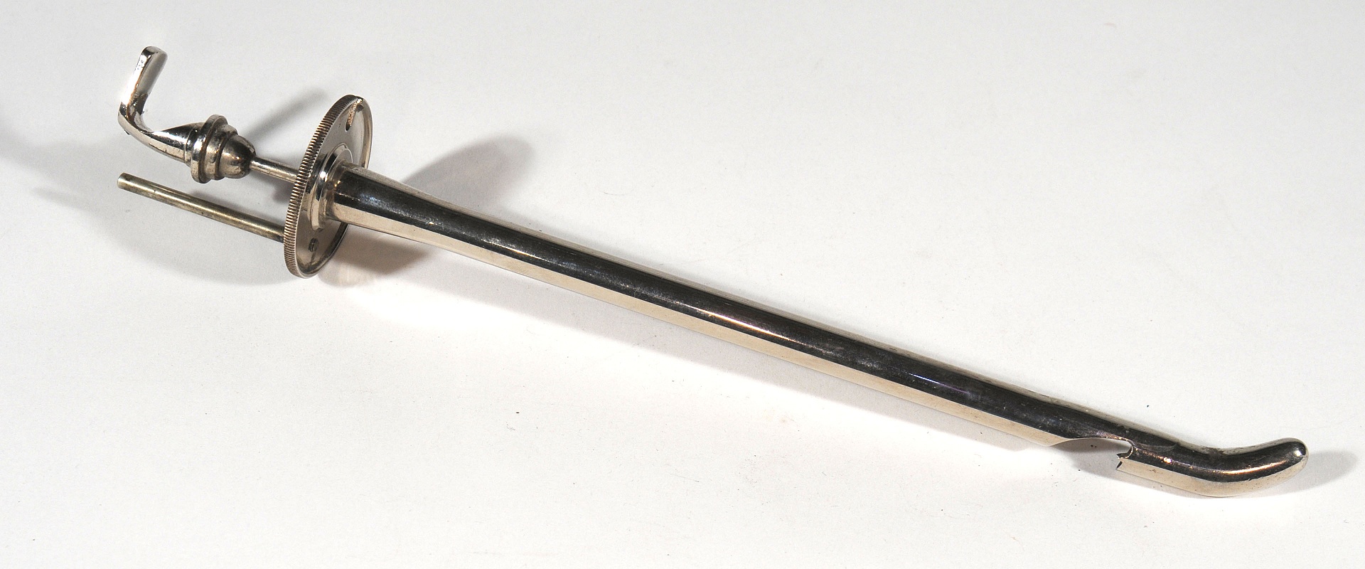 Magnified image for image #1