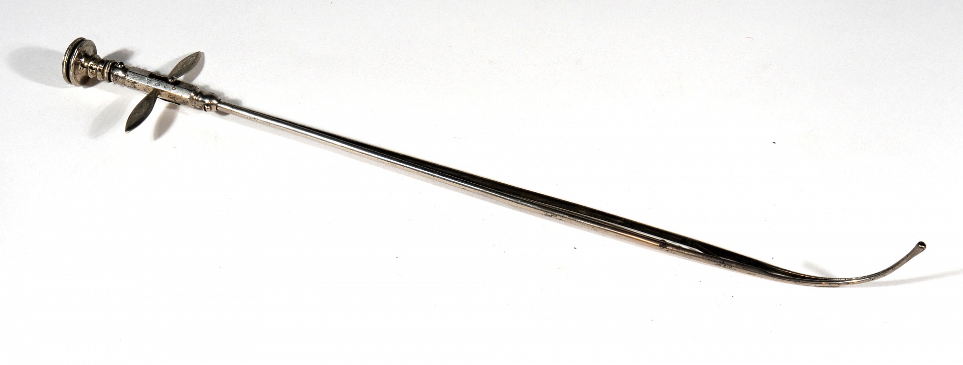 Magnified image for image #1