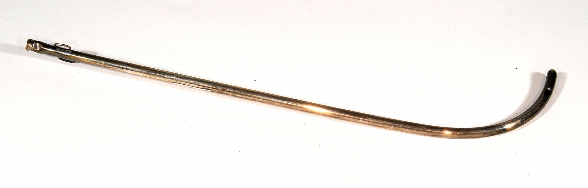 Magnified image for image #1