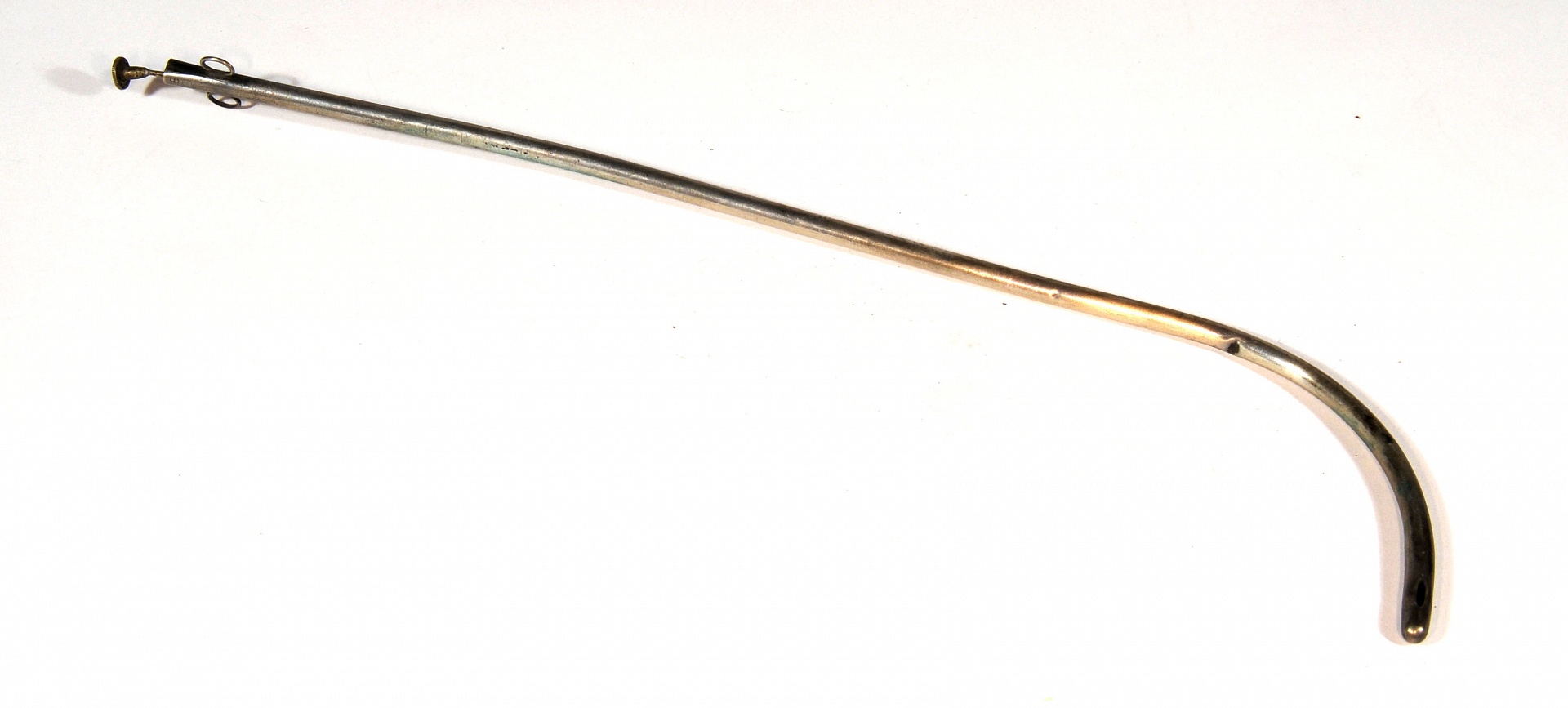 Magnified image for image #1