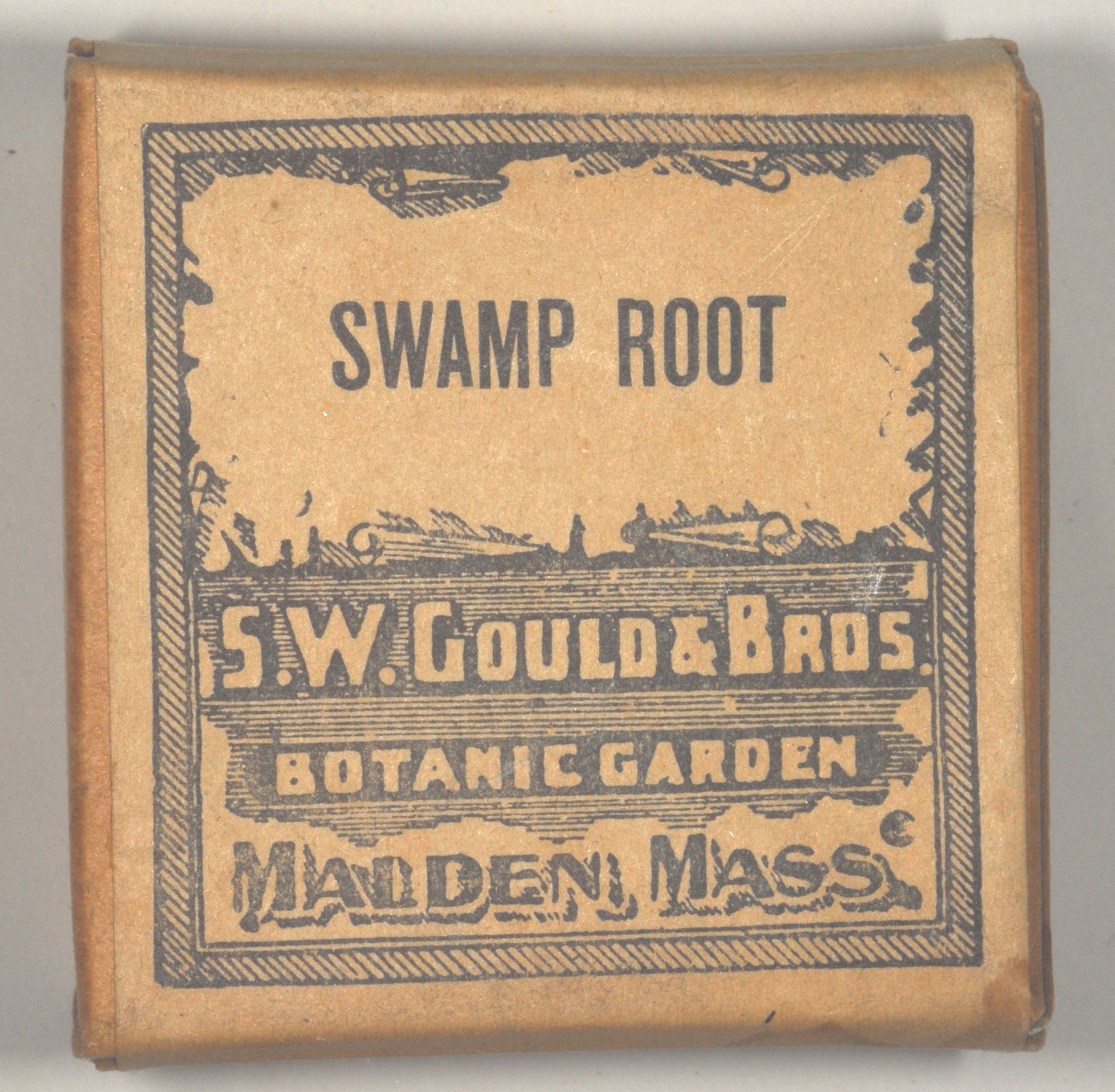 Magnified image for image #1