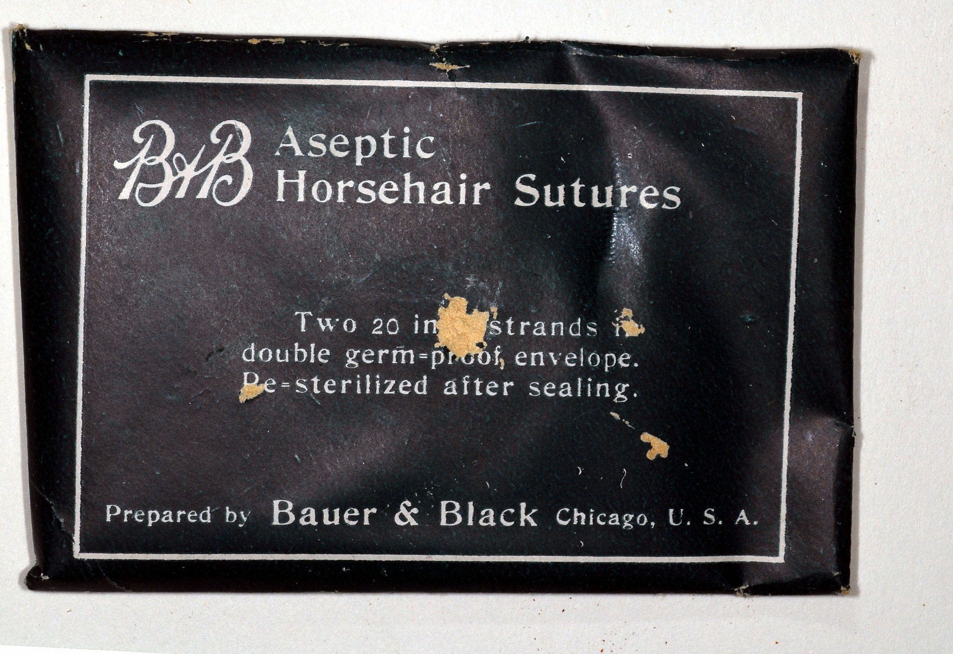 Magnified image for image #1