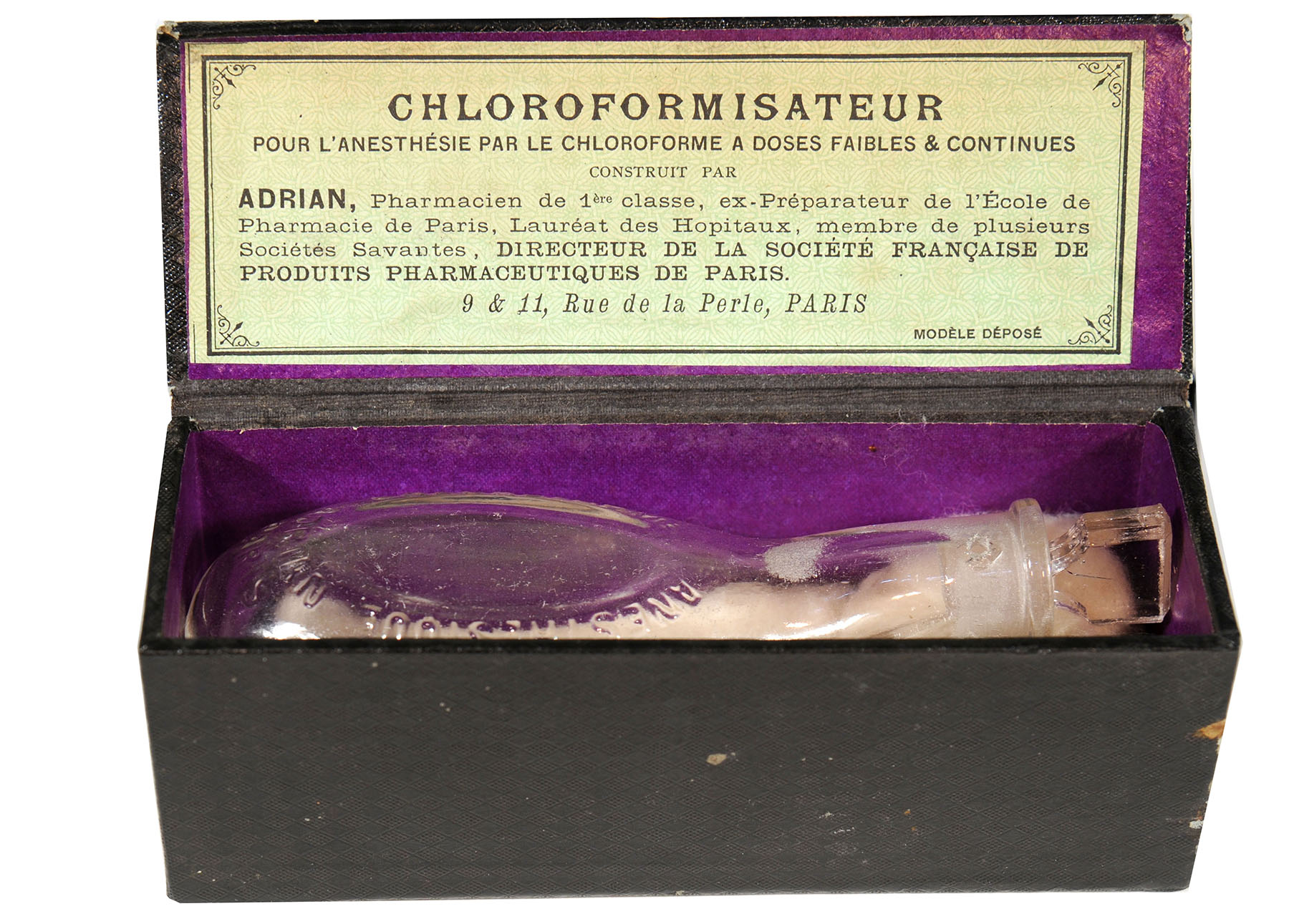 Magnified image for image #1