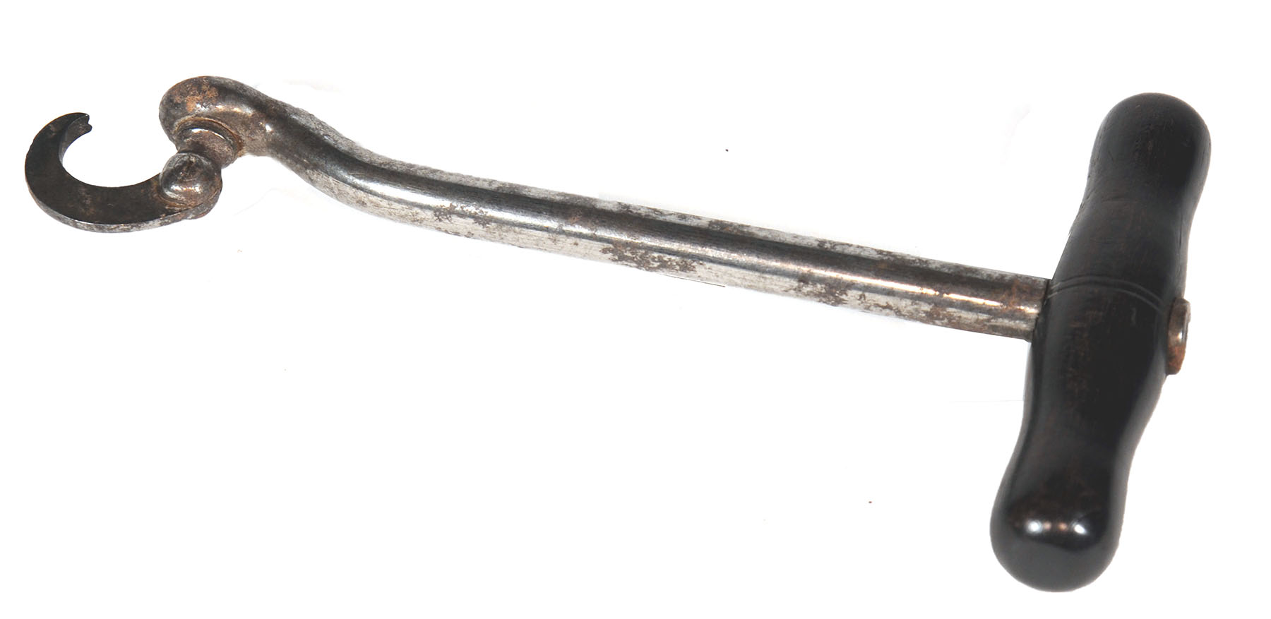 Magnified image for image #1