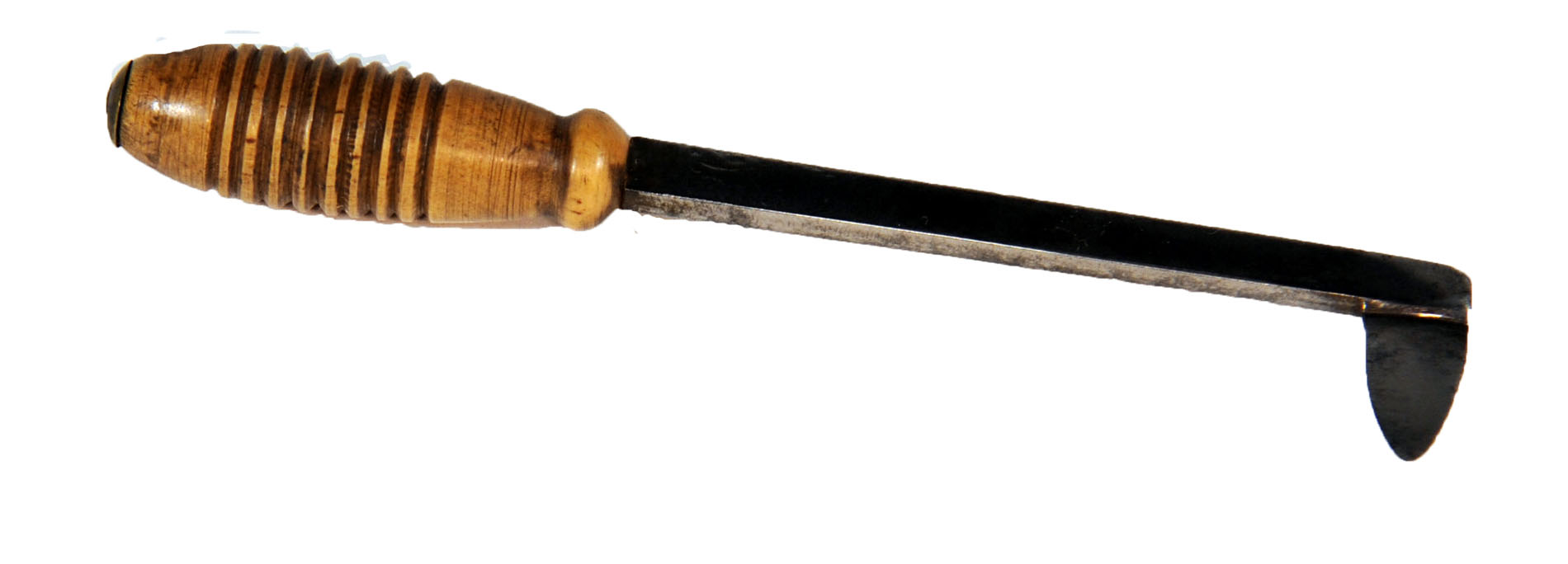 Magnified image for image #1