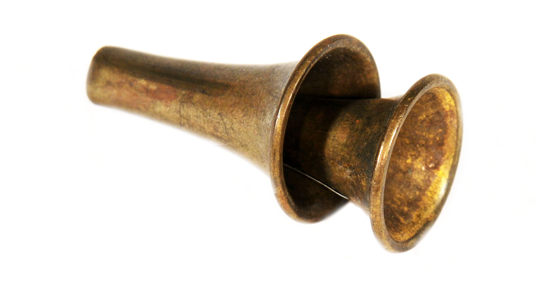 Magnified image for image #1