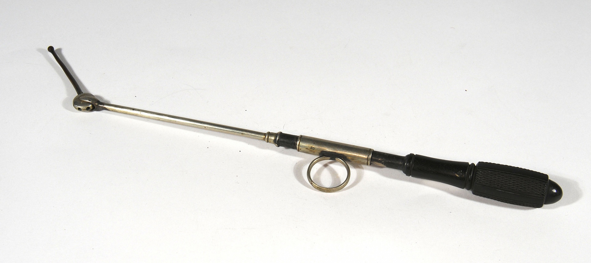 Magnified image for image #1