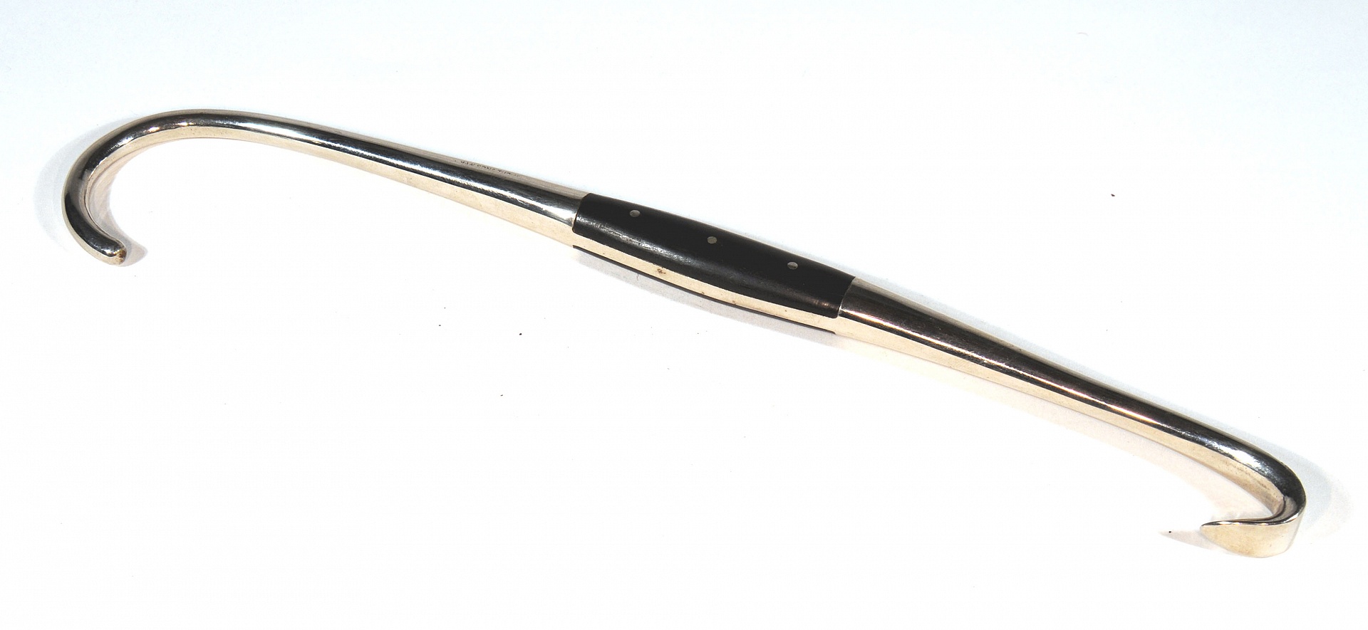 Magnified image for image #1