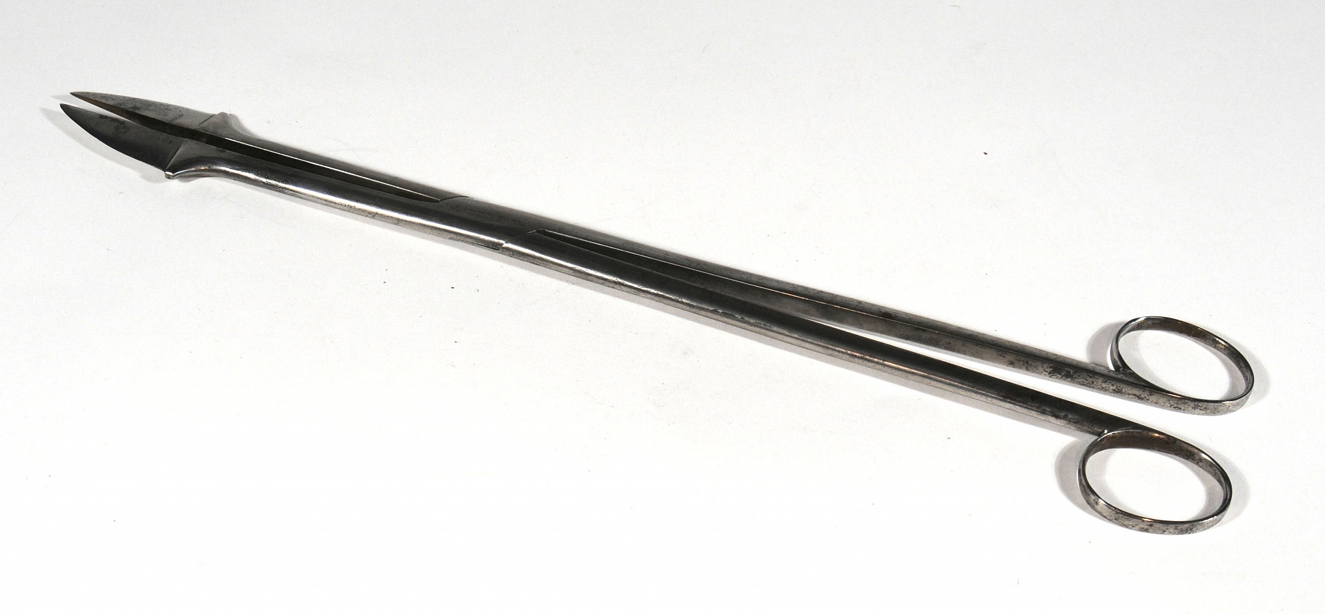 Magnified image for image #1