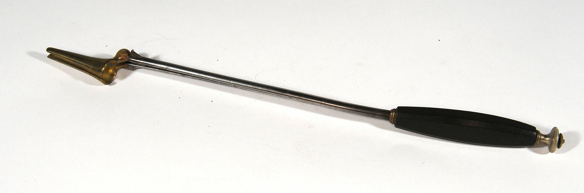 Magnified image for image #1