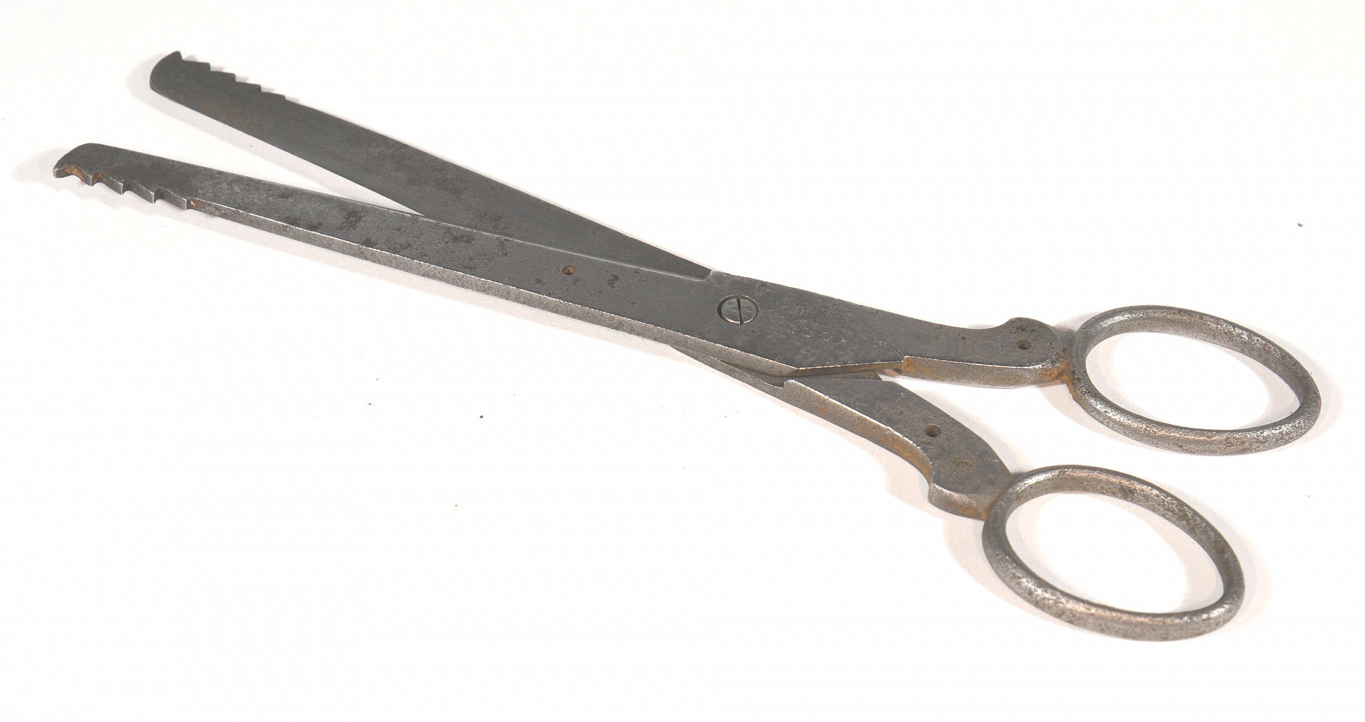 Magnified image for image #1