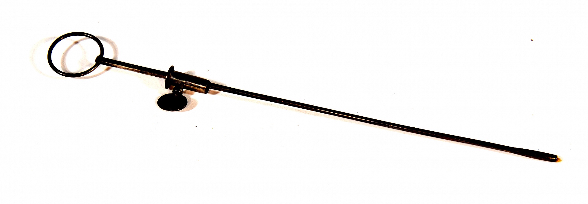 Magnified image for image #1