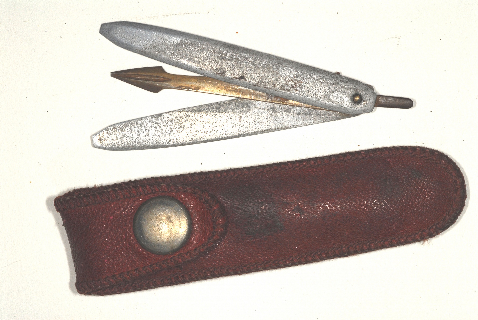 Magnified image for image #1