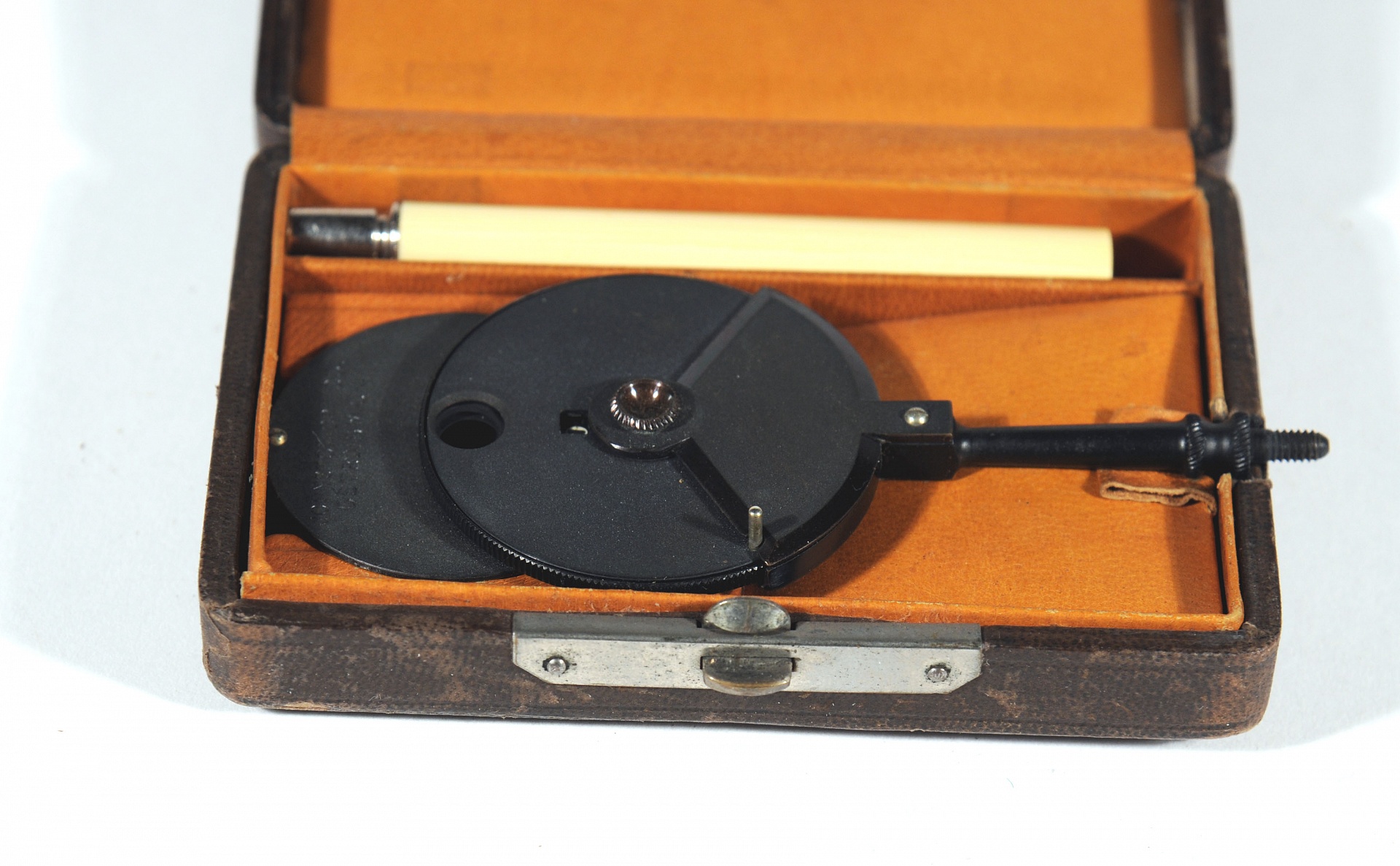 Magnified image for image #1