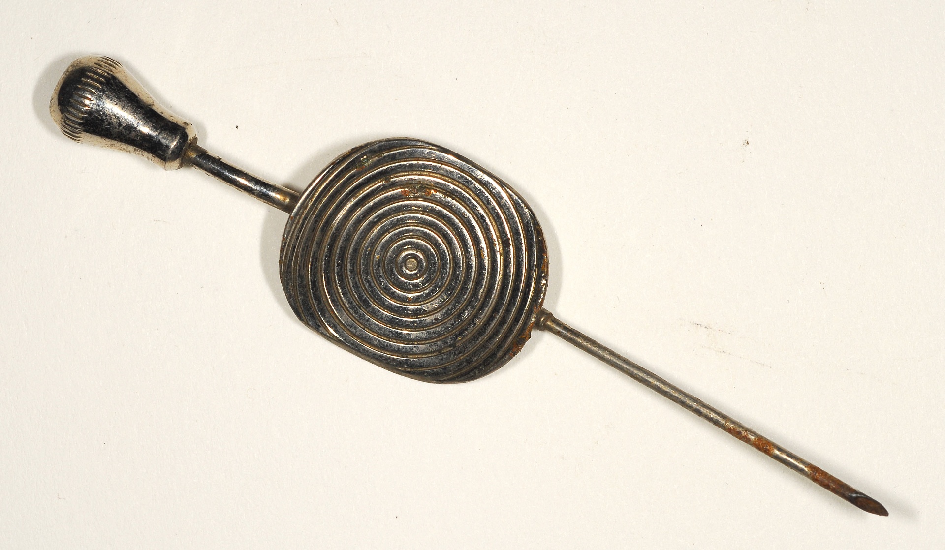 Magnified image for image #1