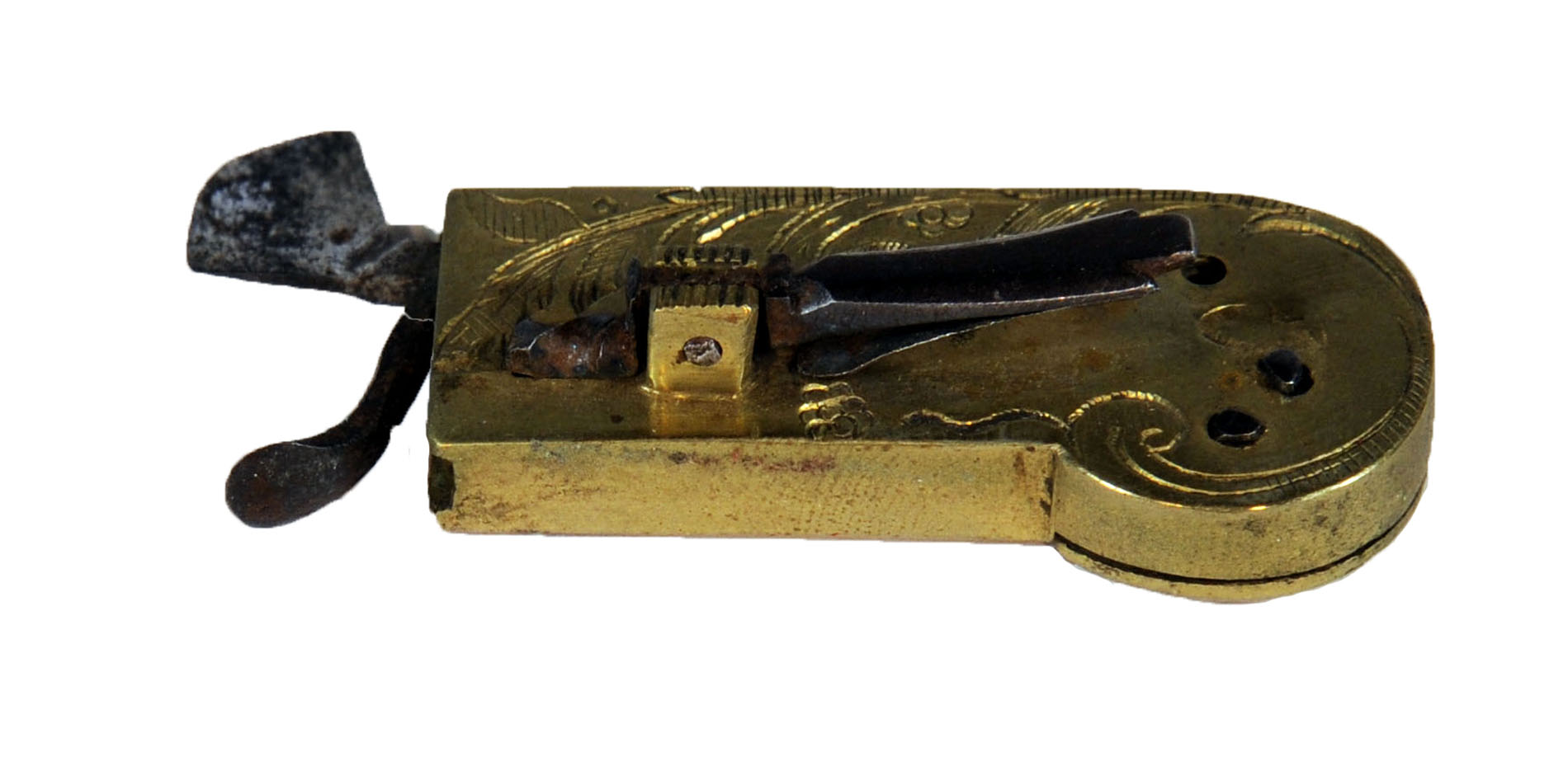 Magnified image for image #1