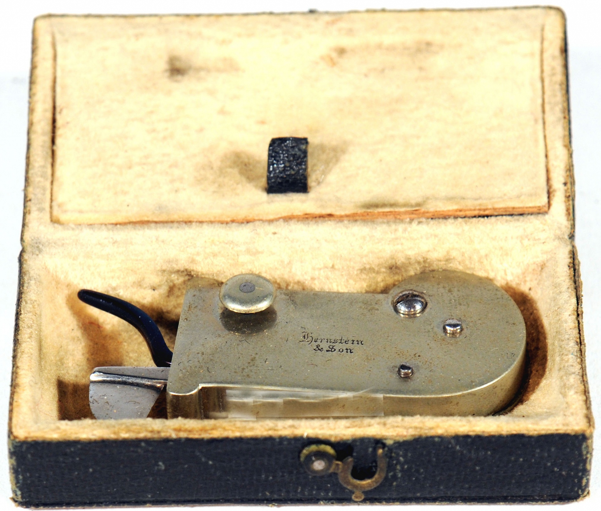 Magnified image for image #1