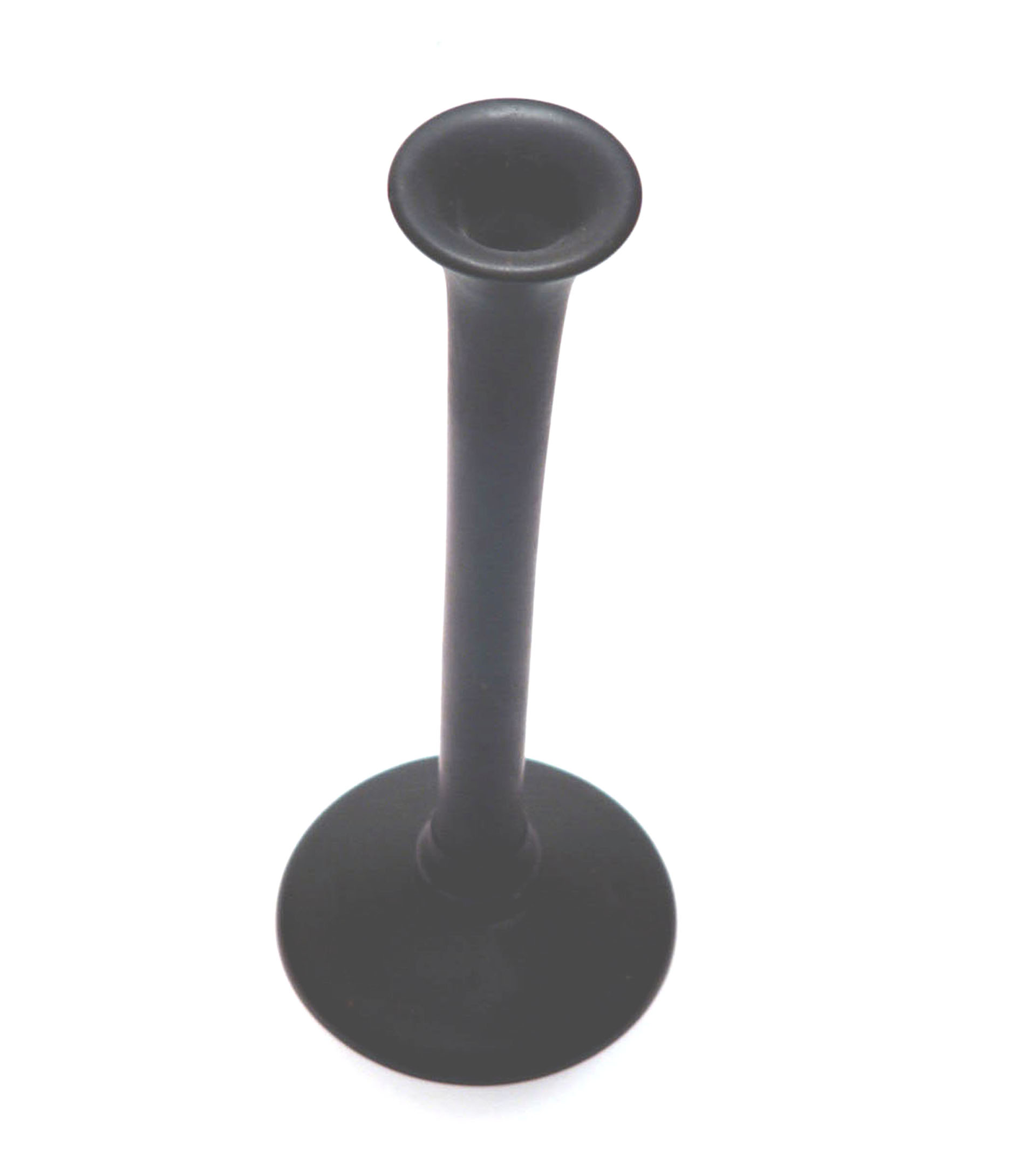 Magnified image for image #1