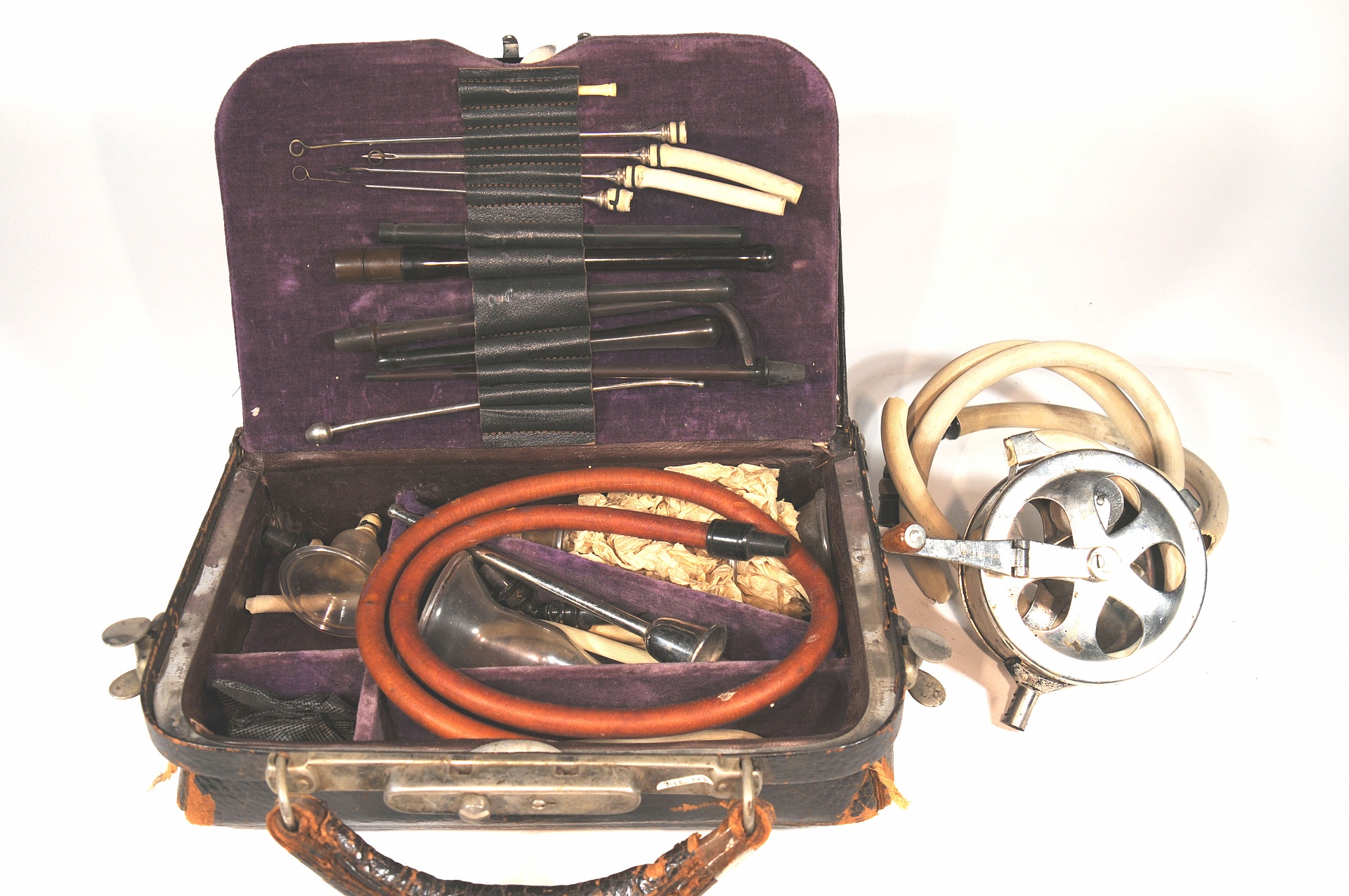 Magnified image for image #1