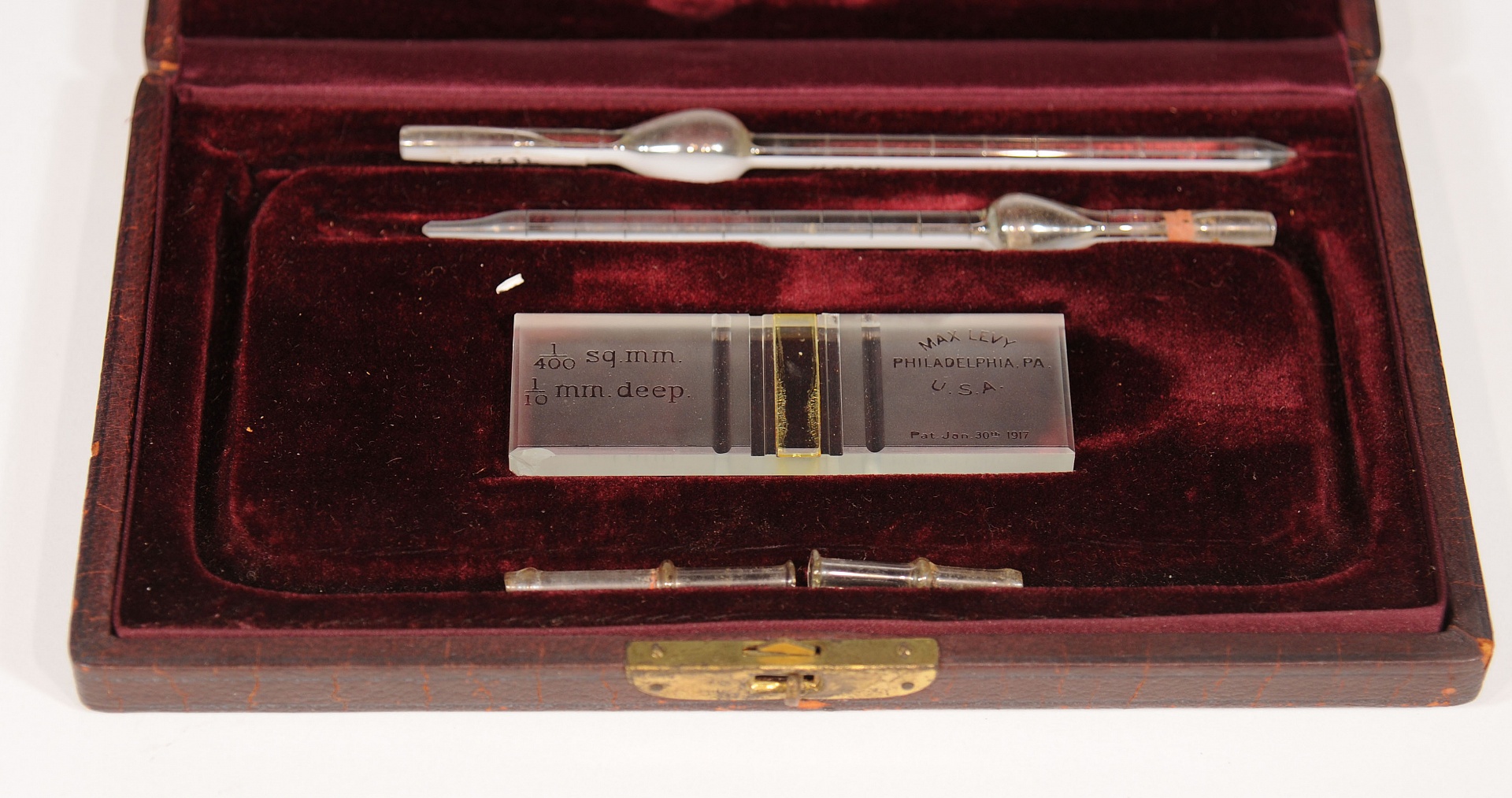 Magnified image for image #1