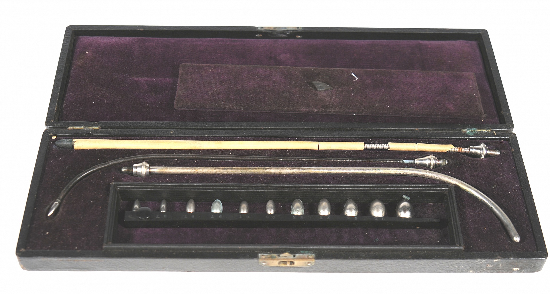 Magnified image for image #1