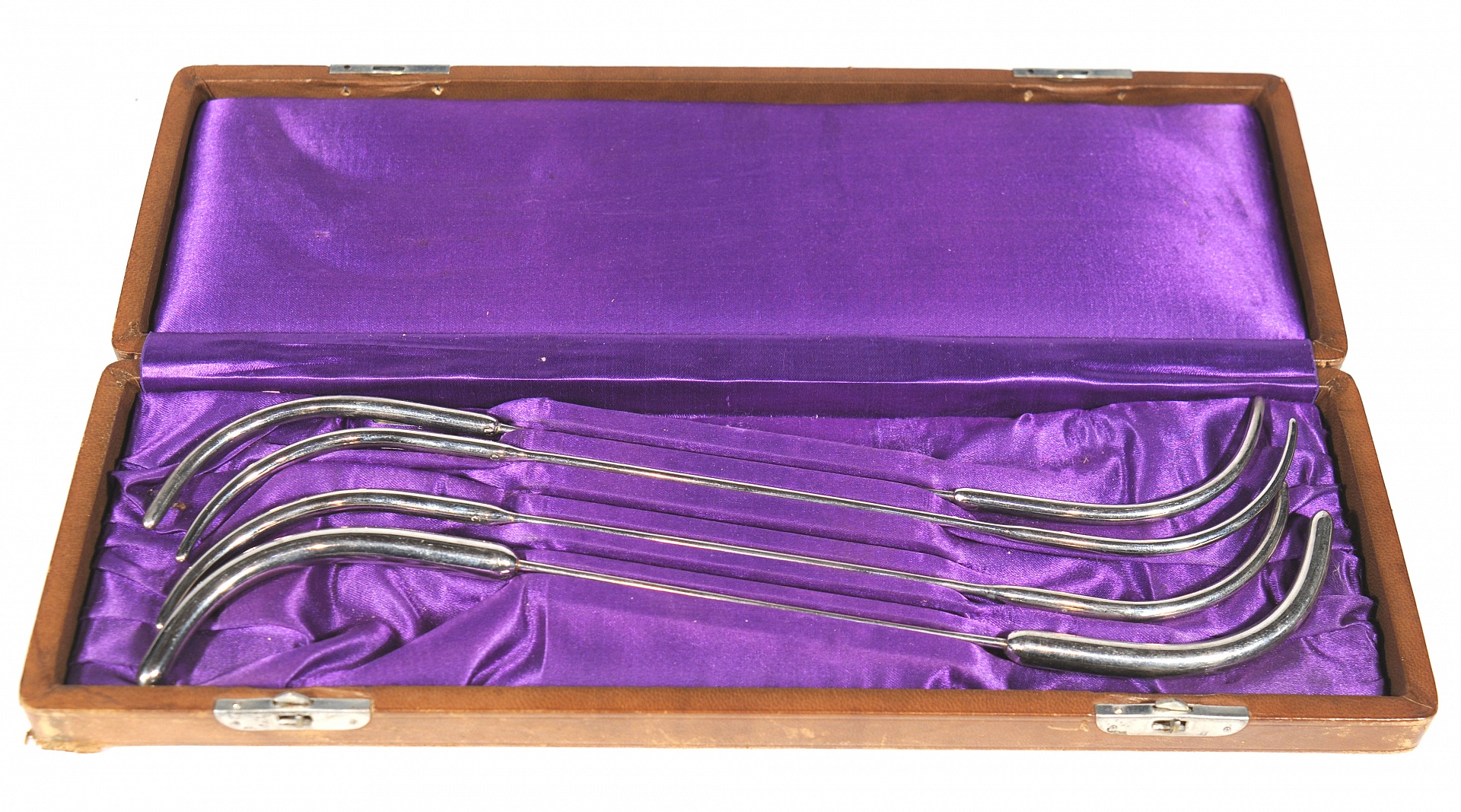 Magnified image for image #1