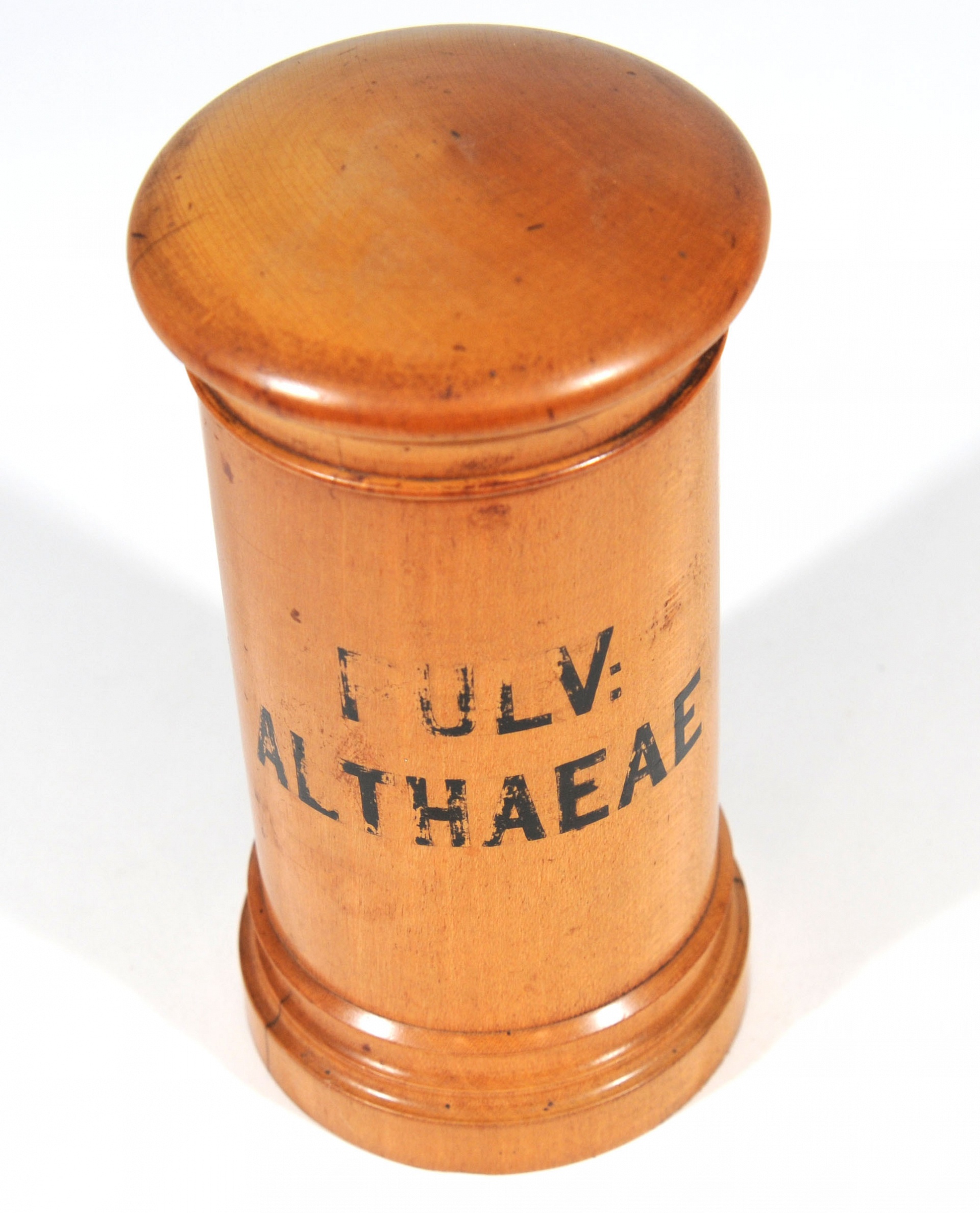 Magnified image for image #1