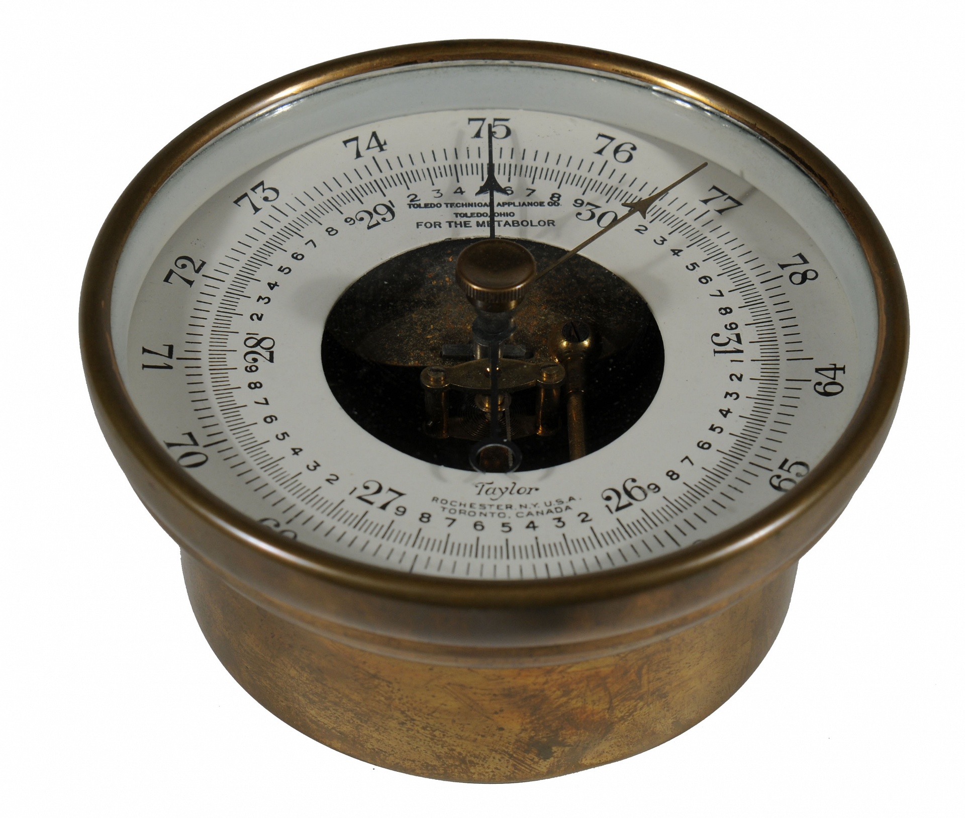 Magnified image for image #1