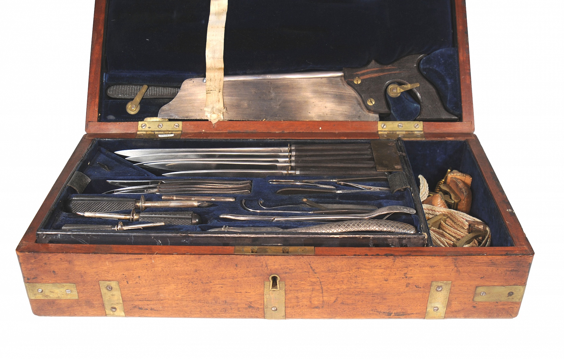 Magnified image for image #1