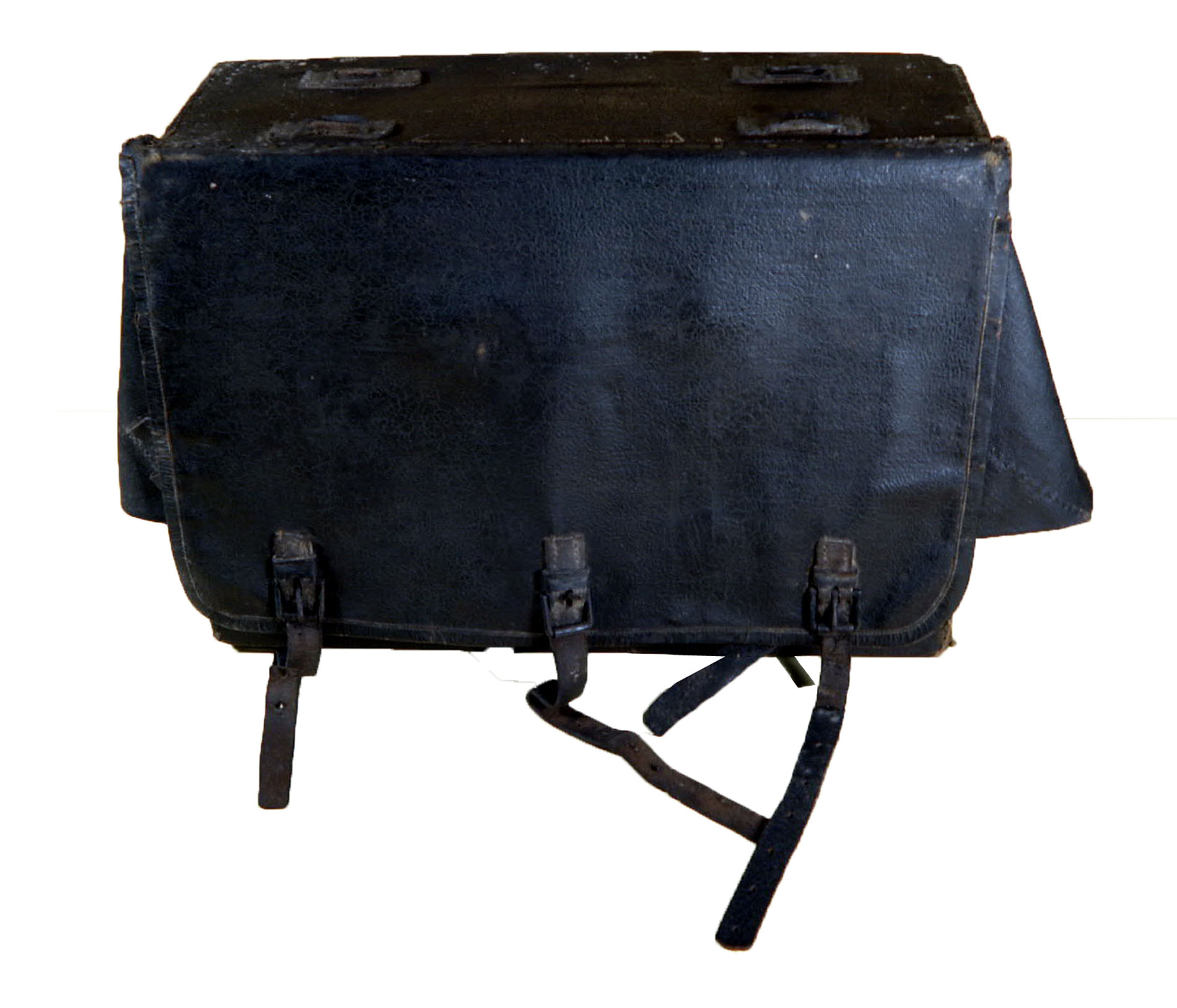 Magnified image for image #1